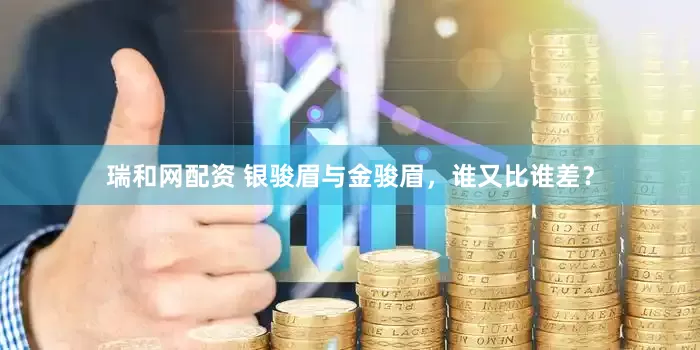 瑞和网配资 银骏眉与金骏眉，谁又比谁差？