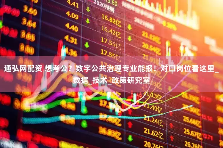 通弘网配资 想考公？数字公共治理专业能报！对口岗位看这里_数据_技术_政策研究室