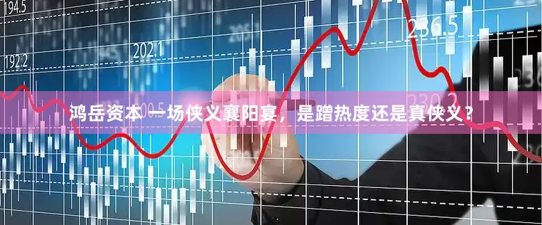 鸿岳资本 一场侠义襄阳宴，是蹭热度还是真侠义？