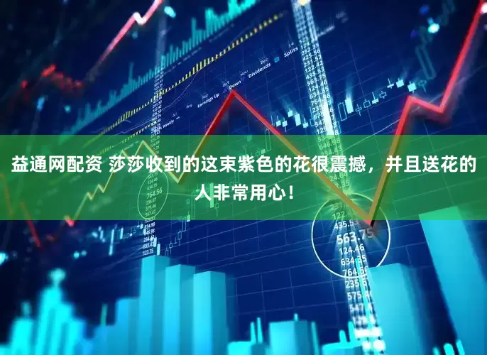 益通网配资 莎莎收到的这束紫色的花很震撼，并且送花的人非常用心！