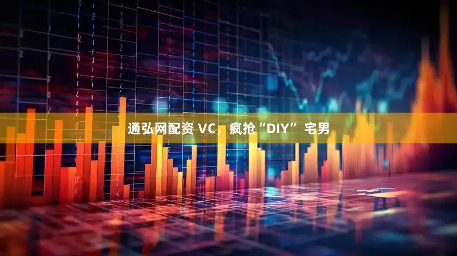 通弘网配资 VC，疯抢“DIY” 宅男